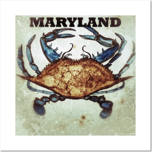 Maryland Crabs Posters and Art